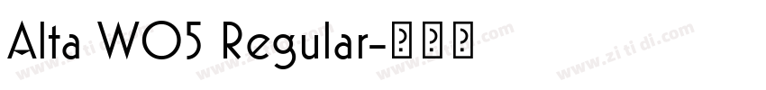 Alta W05 Regular字体转换
